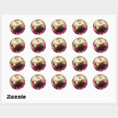 Hammyville – 可愛い保Hamster Up Good Work ラウンドシール (シート)