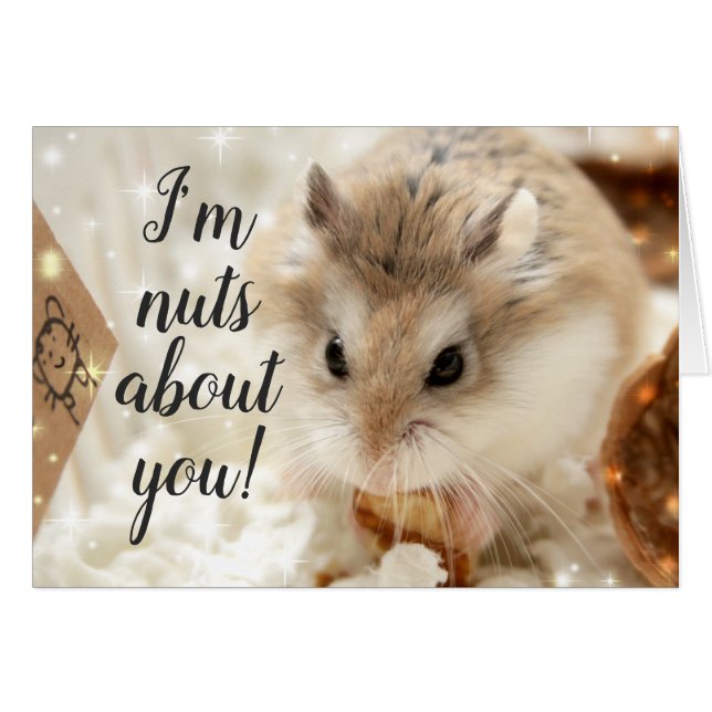 Hammyville - Hamster Nuts About You (正面横)