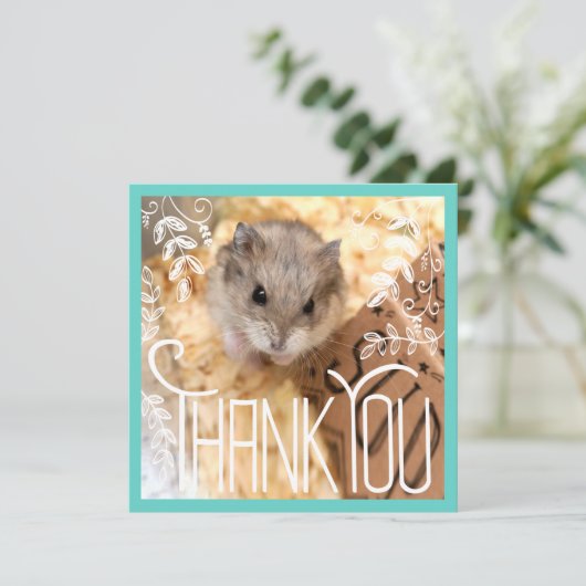 Hammyville - Hamster Thank You (スタンド正面)