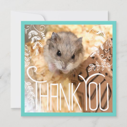 Hammyville - Hamster Thank You (正面)