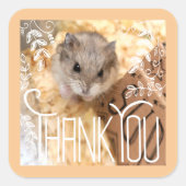 Hammyville - Hamster Thank You スクエアシール (正面)