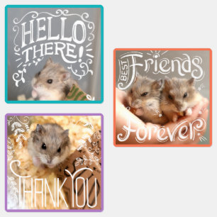 Hammyville - Hamstersこんにちは、BFF、ありがとう ラベル
