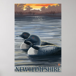 HampshireCommonの新しい水潜り鳥 ポスター