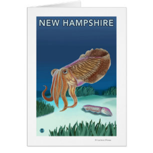 HampshireCuttlefish新しい場面