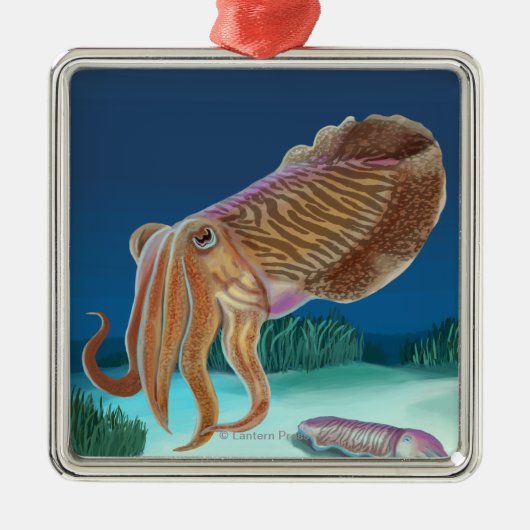 HampshireCuttlefish新しい場面 メタルオーナメント (正面)