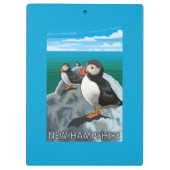 HampshirePuffins新しい場面 クリップボード (裏面)
