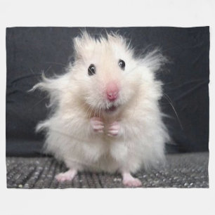 HAMPSTERの悪い毛日 フリースブランケット