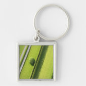 Hamptonsの両掛け キーホルダー (正面)