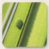 Hamptonsの両掛け コースター (正面)