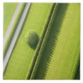 Hamptonsの両掛け タイル (正面)