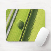 Hamptonsの両掛け マウスパッド (マウス)