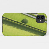 Hamptonsの両掛け Case-Mate iPhoneケース (裏面(横))