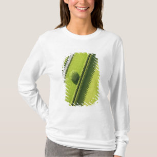 Hamptonsの両掛け Tシャツ