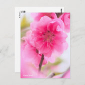 Hana Peach [Postcard] ポストカード (正面/裏面)