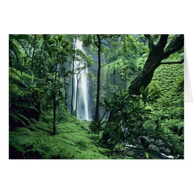 Hanakapiaiの秋はNa Pali Coast沿いのカウアイ、 (正面横)