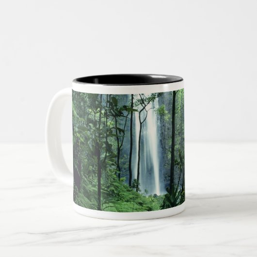 Hanakapiaiの秋はNa Pali Coast沿いのカウアイ、 ツートーンマグカップ (正面左)