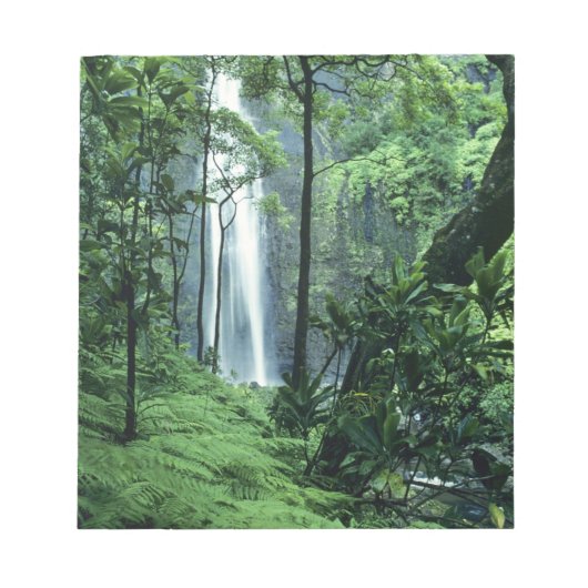 Hanakapiaiの秋はNa Pali Coast沿いのカウアイ、 ノートパッド (正面)