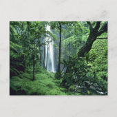 Hanakapiaiの秋はNa Pali Coast沿いのカウアイ、 ポストカード (正面)