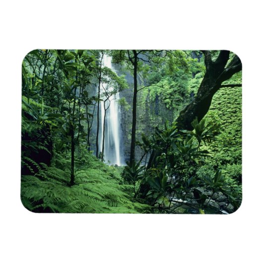 Hanakapiaiの秋はNa Pali Coast沿いのカウアイ、 マグネット (横)