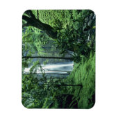 Hanakapiaiの秋はNa Pali Coast沿いのカウアイ、 マグネット (縦)