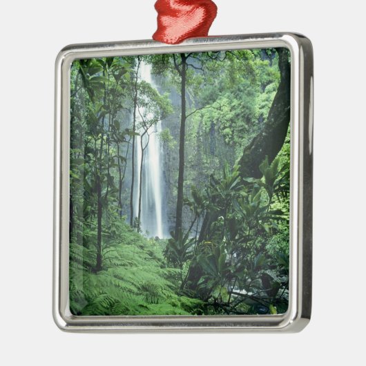 Hanakapiaiの秋はNa Pali Coast沿いのカウアイ、 メタルオーナメント (左)