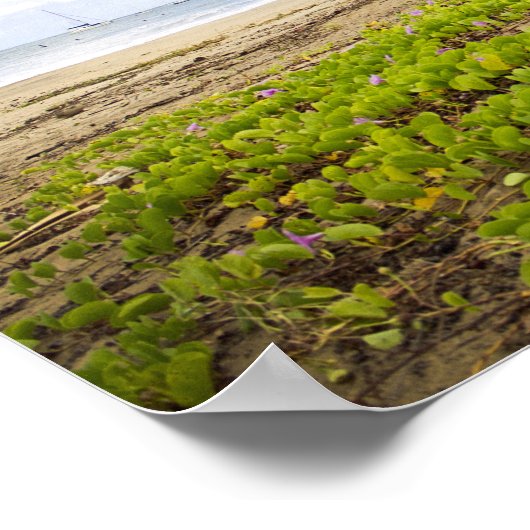 Hanalei Bay, Kauai Hawaii Beach Flowers ポスター (角)