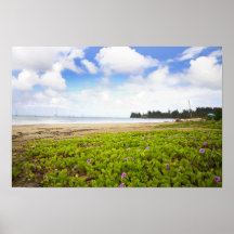 Hanalei Bay, Kauai Hawaii Beach Flowers
