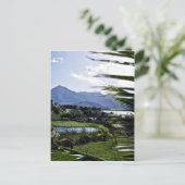 Hanalei - Princeville, North Shore, Kaai ポストカード (スタンド正面)