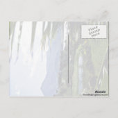 Hanalei - Princeville, North Shore, Kaai ポストカード (裏面)