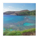 Hanauma湾オアフハワイ タイル (正面)