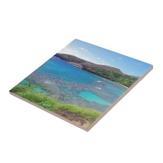 Hanauma湾オアフハワイ タイル (側面)