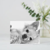 Hand 絵を描 Chihuahuaリラックス Artwork ポストカード (スタンド正面)