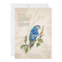 Hand 色彩の鮮やか Pressended Lorikeet Greeting Card