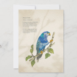 Hand 色彩の鮮やか Pressended Lorikeet Greeting Card シーズンカード
