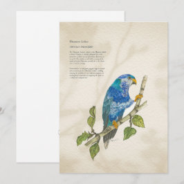 Hand 色彩の鮮やか Pressended Lorikeet Greeting Card シーズンカード