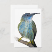 Hand-drawn blue tinted hummingbird notecard. サンキューカード (正面/裏面)