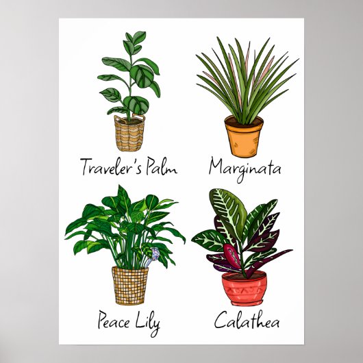 Hand Drawn House Plants Wall Art ポスター (正面)