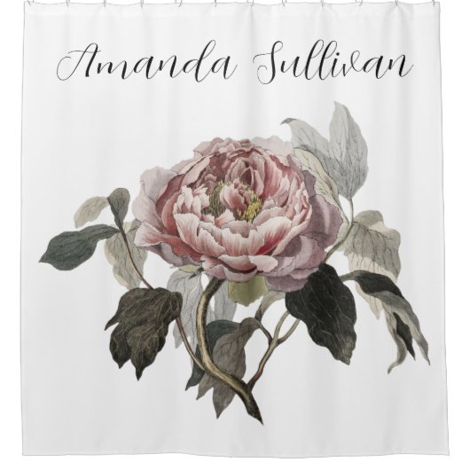 Hand drawn pink cabbage rose (PERSONLIZE) シャワーカーテン (正面)