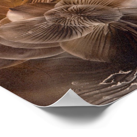 Hand Painted Abstract Glow in Earth Tones ポスター (角)