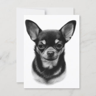 Hand Painted Chihuahua Pet Portrait ポストカード