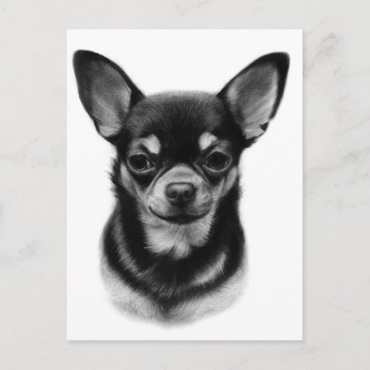 Hand Painted Chihuahua Pet Portrait ポストカード (正面)