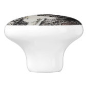 HANDEL 1-1/2インチセラミックプルノブ セラミックノブ (側面)