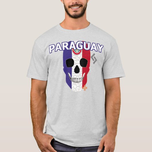 HANDSCARULパラグアイTシャツ基本B2 Tシャツ (正面)
