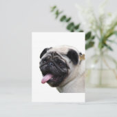 Handsom白いPugフォトアクセサリー、名前を追加 ポストカード (スタンド正面)