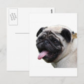 Handsom白いPugフォトアクセサリー、名前を追加 ポストカード (正面/裏面)