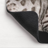 Handsome Bengal Cat Chillaxing in the Condo マウスパッド (コーナー)