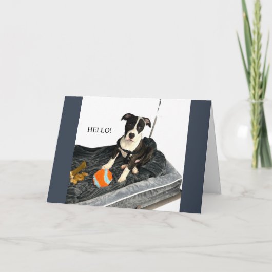 Handsome Bulldog Greeting Card シーズンカード (正面)