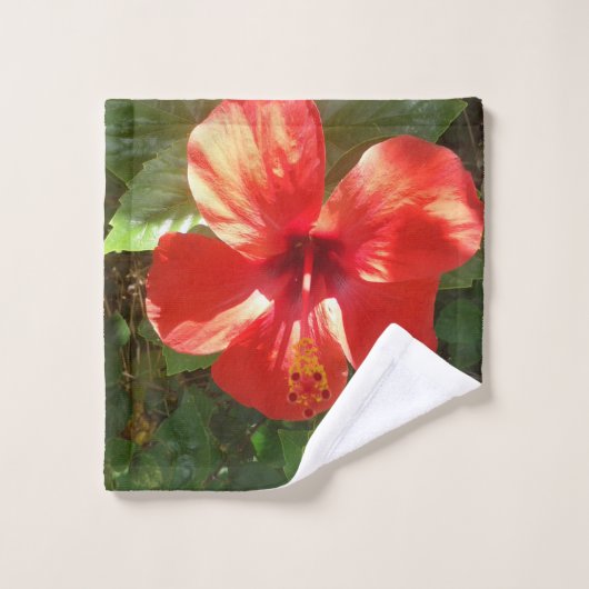 Handtuch ウォッシュタオル (ウォッシュタオル)