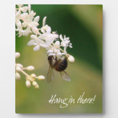 "Hang in There" Motivational Plaque フォトプラーク (正面)