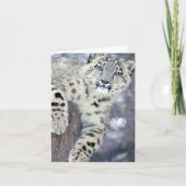 Hanginのまわりの…. カード (正面)